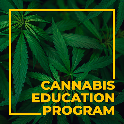 Picture of Scottsdale Community College's Cannabis and Social Equity Program