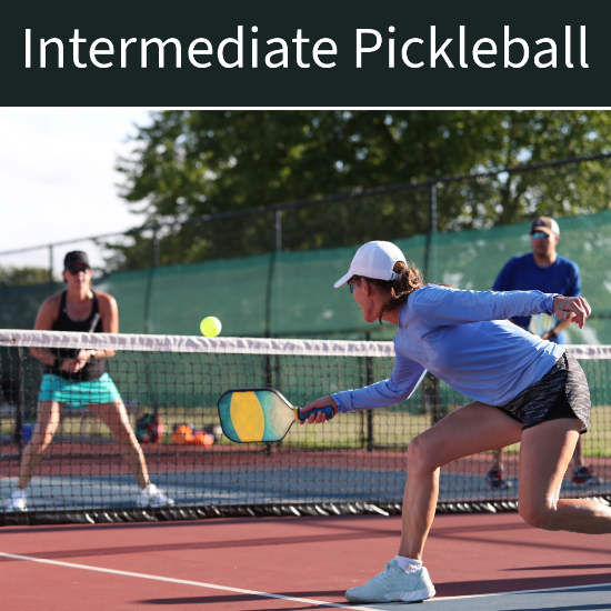 Picture of Intermediate Pickleball (Feb 20th & Feb 27th)