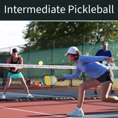 Picture of Intermediate Pickleball (Feb 21st & Feb 28th)